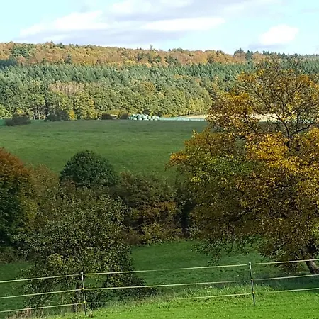 Am Rohrbacherhof Sabine Rueck Steinau an der Straße