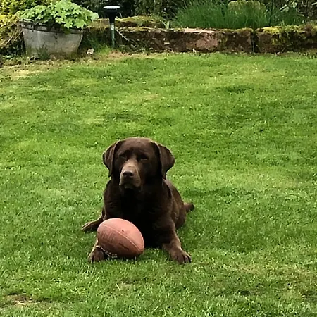 Am Rohrbacherhof Sabine Rueck *