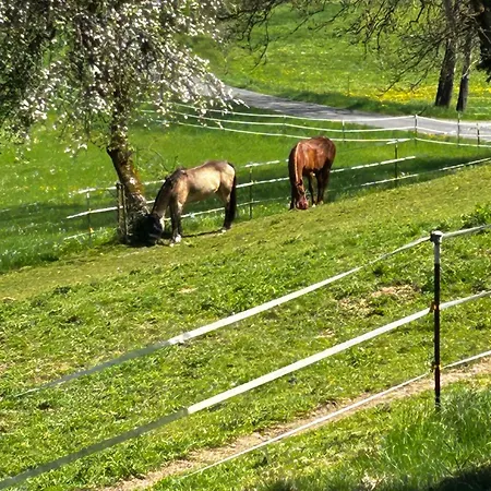 Am Rohrbacherhof Sabine Rueck Apartamento Steinau an der Straße