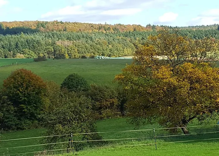 Am Rohrbacherhof Sabine Rueck Steinau an der Strasse