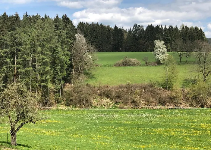 Am Rohrbacherhof Sabine Rueck Apartmán Steinau an der Straße