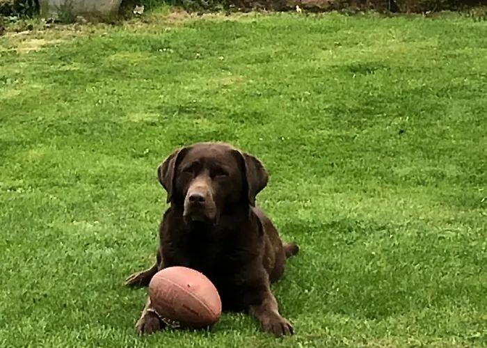 Am Rohrbacherhof Sabine Rueck *